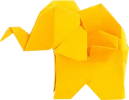 Web Design and Development